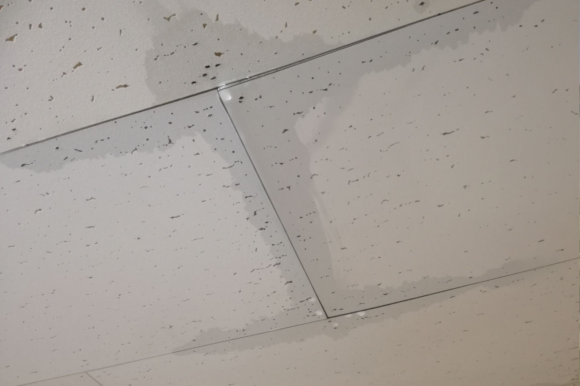 放置すると雨漏りや下地の腐食につながる